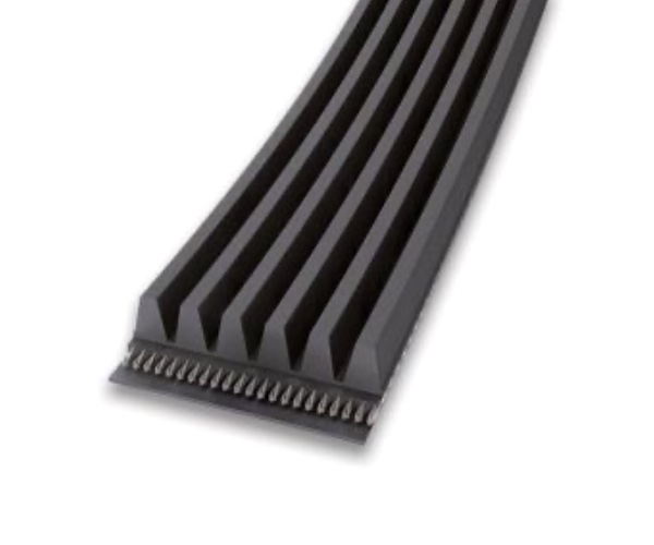 Cinghie Poly-V