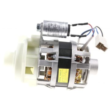 49025126