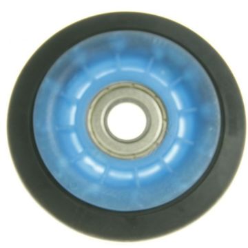 C00526585